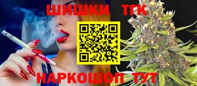 МДПВ Будённовск
