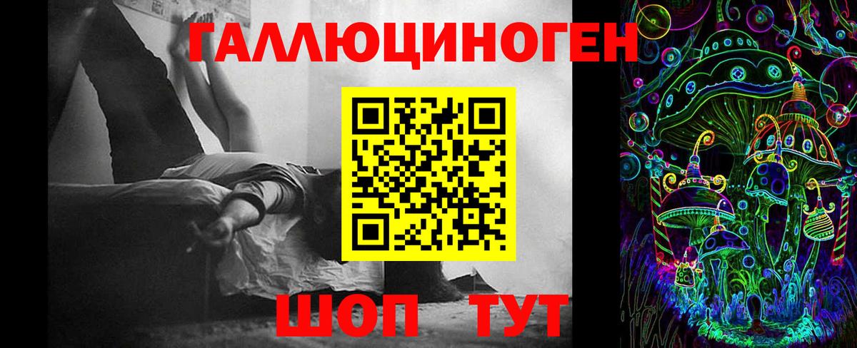 Псилоцибиновые грибы Psilocybe Курчалой