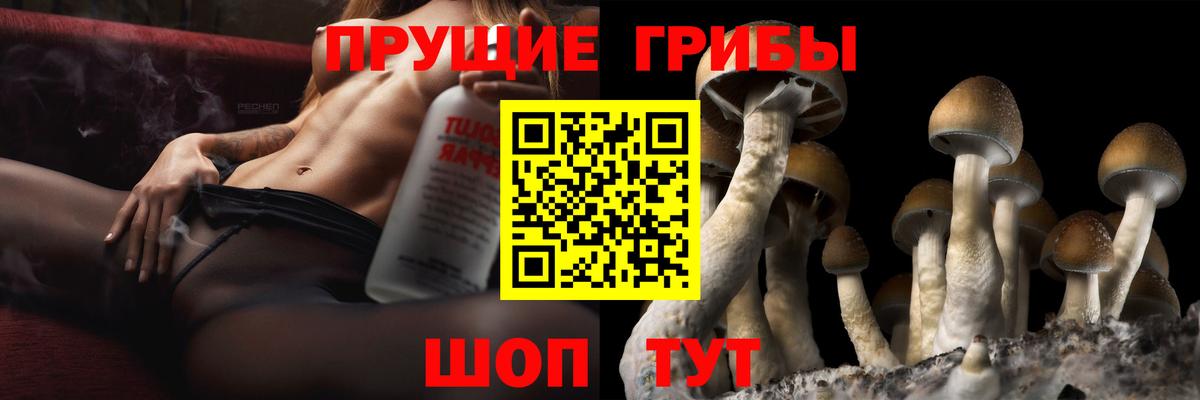 Галлюциногенные грибы мицелий  Вход с VPN  где купить   Галлюциногенные грибы Magic Shrooms  Курчалой 